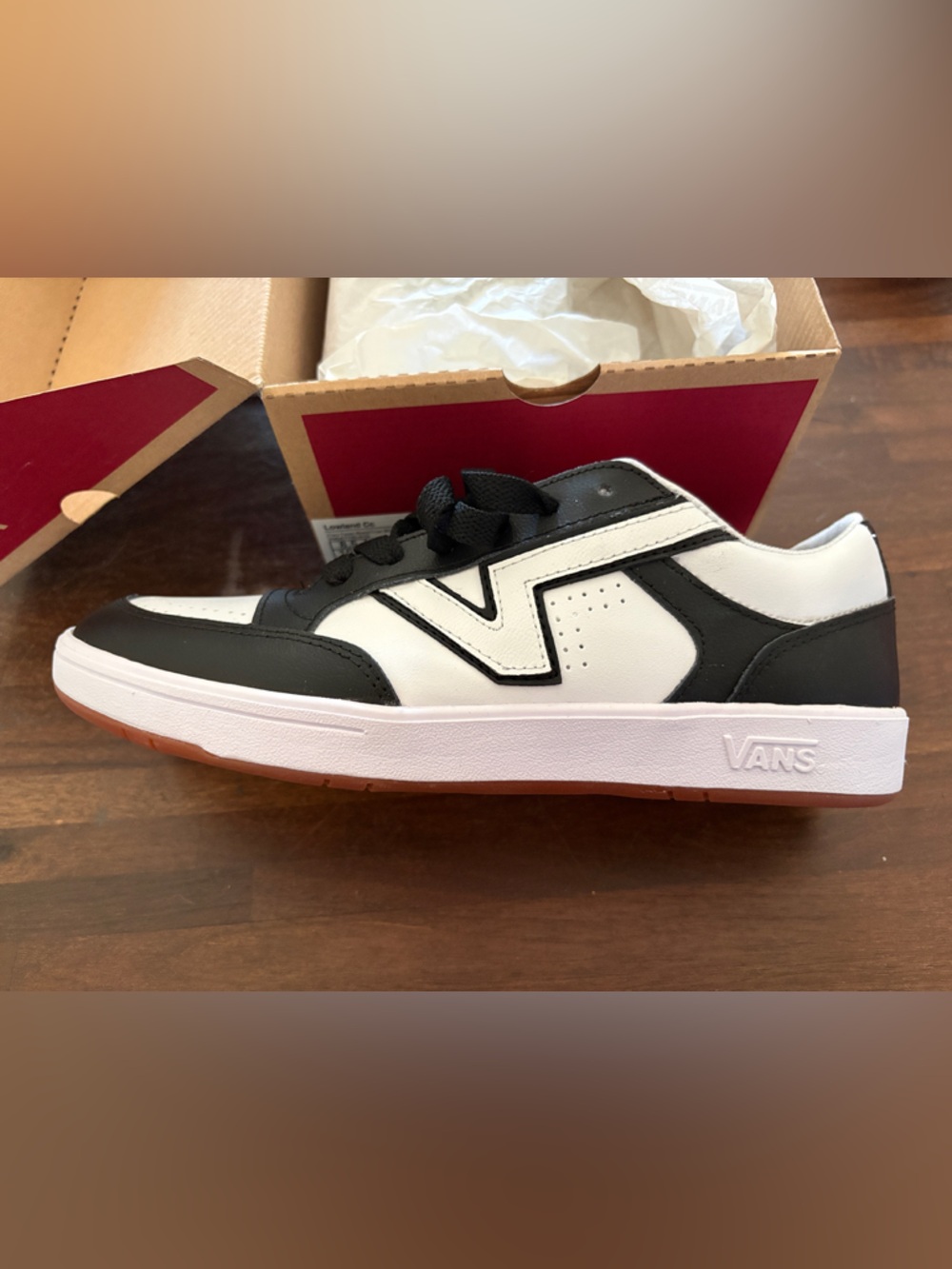 Vans Black and White Low-Top Skate Sneakers